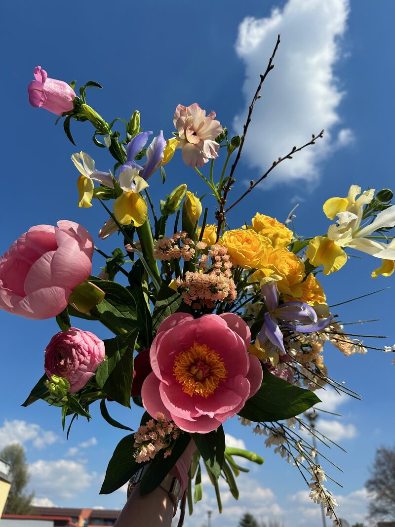 Kolorowe gerbery i róże – świeże kwiaty na prezent, Katowice