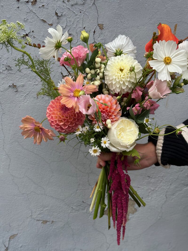 Storczyki i orchidee – elegancki prezent, kwiaciarnia Katowice