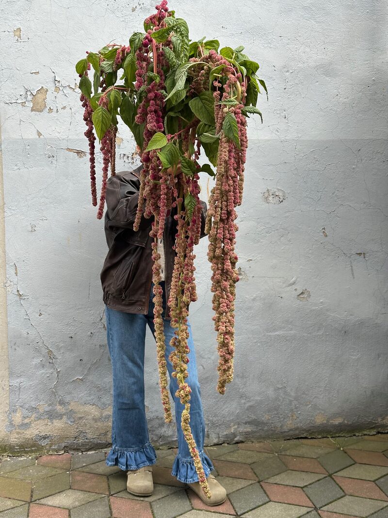 Wiosenny bukiet z ranunkułów – kwiaty Katowice Witosa 19a